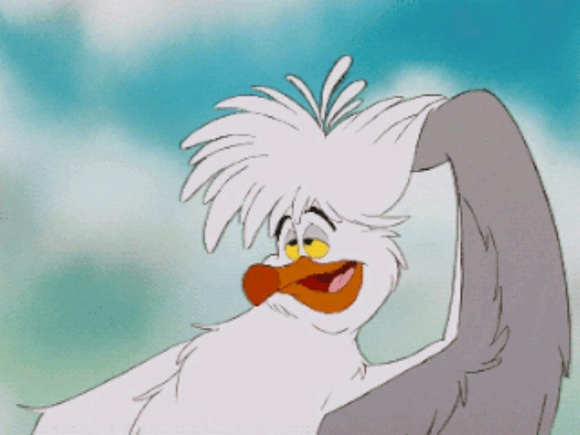 Meet your Posher, Jewel - Picture 1 of 1